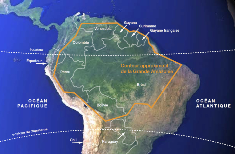 Amazonie Un Vaste Ecosysteme En Evolution Permanente Encyclopedie De L Environnement