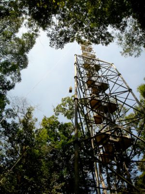 tour a flux guyane