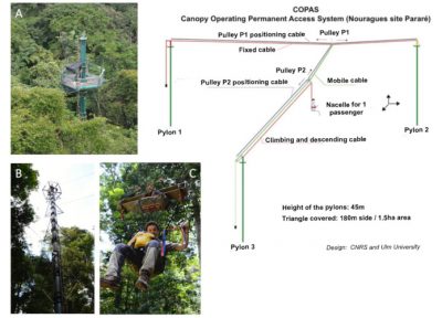 COPAS - Canopy observatory permanent access