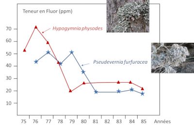concentration fluor lichens vallee maurienne