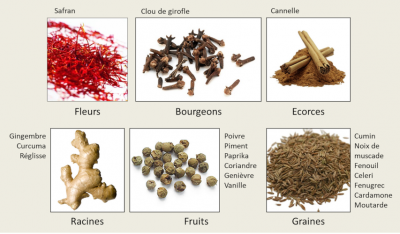 eipces - organes vegetaux epices