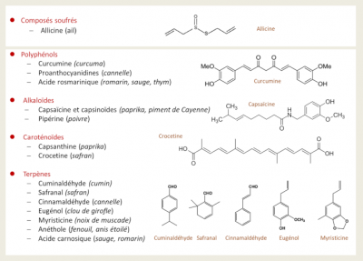 herbes aromatiques - epices - composes bioactifs herbes - herbs - spices