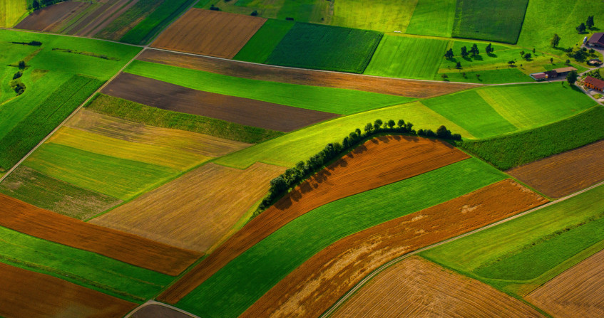 plantes - agriculture - pollution agriculture