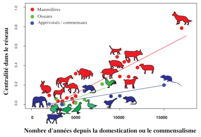 环境百科全是-生命-哺乳动物的驯化时间与人类共有的传染病数量之间的关系