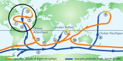 环境百科全书-缓慢而强大的大洋环流-全球大洋环流