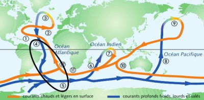 环境百科全书-缓慢而强大的大洋环流-全球大洋环流
