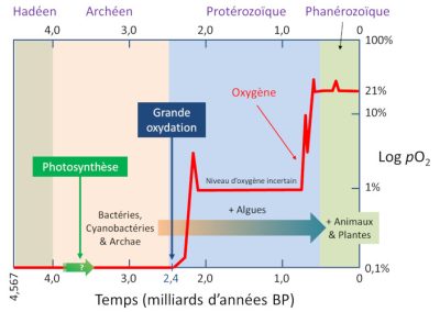 环境百科全书-氧气与生命之间的危险联系-自地球起源以来大气中氧分压随时间变化的演变