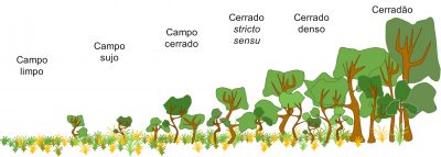 cerrado - cerrada amerique du sud