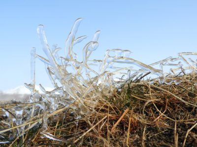环境百科全书-云层中发生了什么-冻雨后稻草上的冰