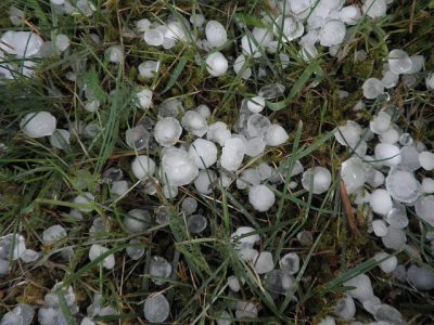 fallen hailstones