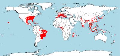 zones moustiques tigres monde - zones geographiques moustiques tigres monde