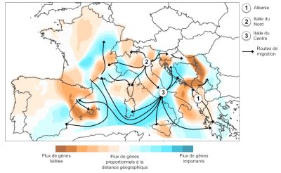 routes migration europe - flux migration europe carte