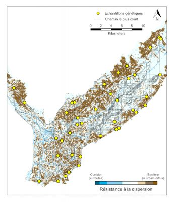 carte moustiques tigres grenoble