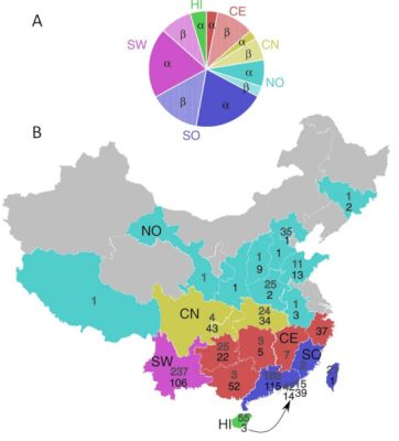 环境百科全书-中国蝙蝠冠状病毒的多样性