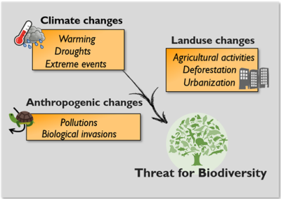 环境百科全书-蚂蚁：指示全球变化影响的哨兵-主要的全球变化