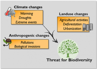 major global changes - anthropogenic changes - landuses changes