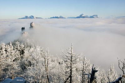环境百科全书-奇特现象-逆温层上方的雾