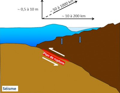 tsunami - tsunamis - seisme - zone subduction