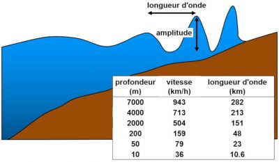 tsunami - tsunamis - vitesse propagation tsunami - longueurs onde tsunami - tsunami schema