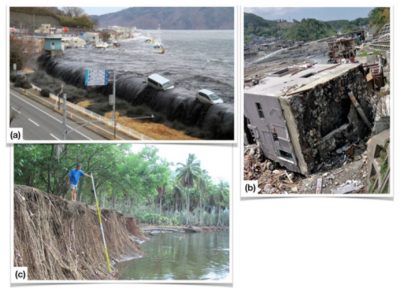 tsunamis - tsunami Miyako - tsunami Onagawa - tsunami Nuku-Hiva