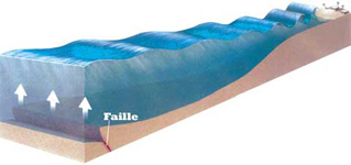 diagram tsunami