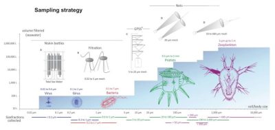 环境百科全书-塔拉海洋科考队探索浮游生物的多样性-塔拉海洋考察期间使用的采样方法