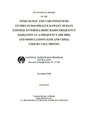 Rapport NTP radiofrequences rats