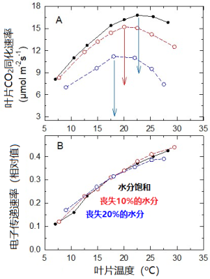 环境百科全书-光合作用-水分含量不同的三种叶片二氧化碳吸收速率与叶温的关系