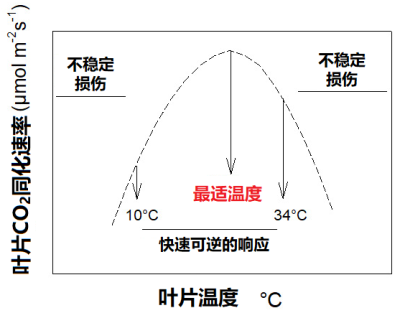 环境百科全书-光合作用-二氧化碳吸收速率