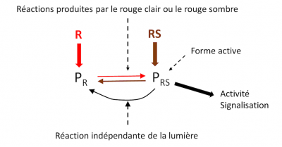 Resistance plant temperature