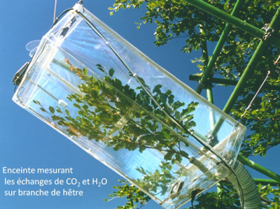 dispositif branche co2 h2o plantes