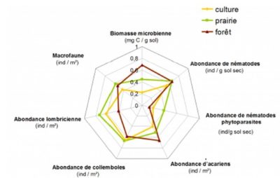 mesure indicateurs biologiques des sols