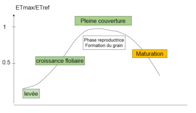 evapotranspiration 