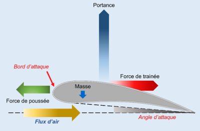 schema vol - forces impliquees vol