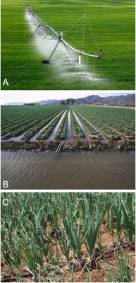 systemes irrigation agriculture - rampe aspersion - 