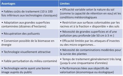 avantages inconvénients approches phytoremediation