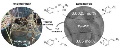 microstructure ecocatalyseur-applications synthese organique