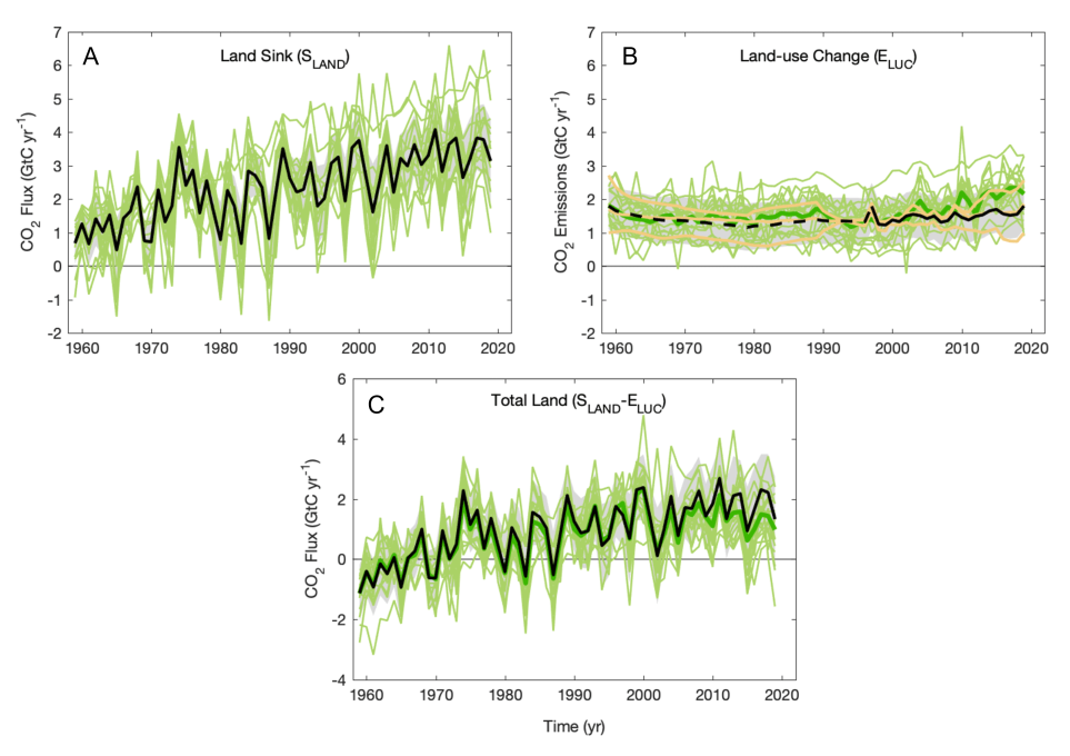 Role of forests in the planet's carbon balance - Encyclopedia of the ...