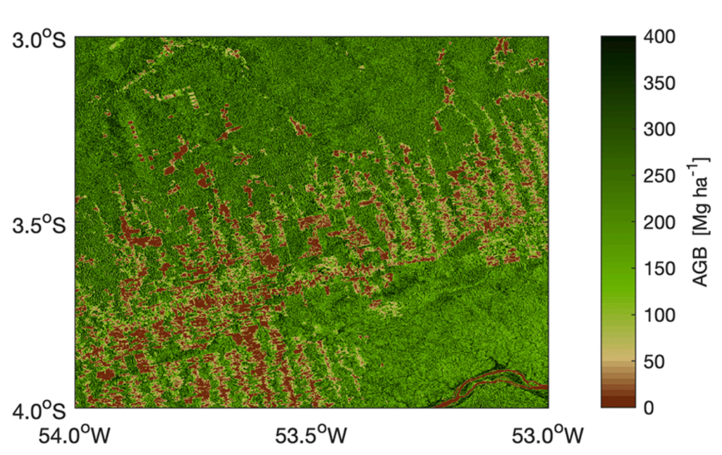 Role of forests in the planet's carbon balance - Encyclopedia of the ...