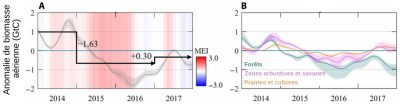 impact meteo stocks carbone tropiques