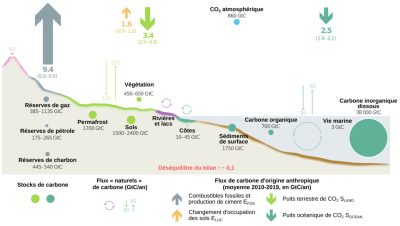cycle global carbone - carbone 
