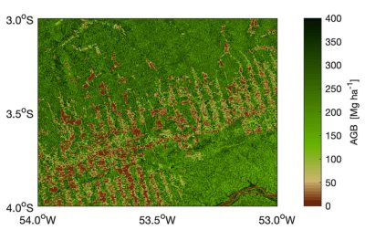 niveaux biomasse zone deforestee