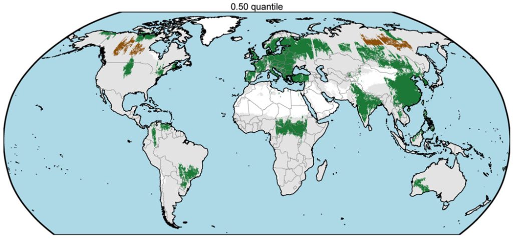 Role of forests in the planet's carbon balance - Encyclopedia of the ...