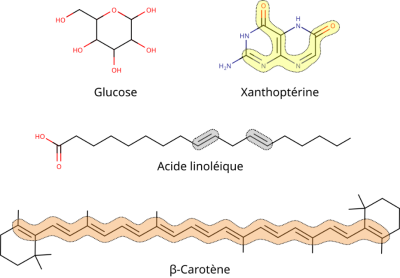 色素色彩起源-化学结构