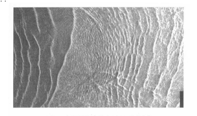 环境百科全书-水面下的波浪——海洋内波-图1