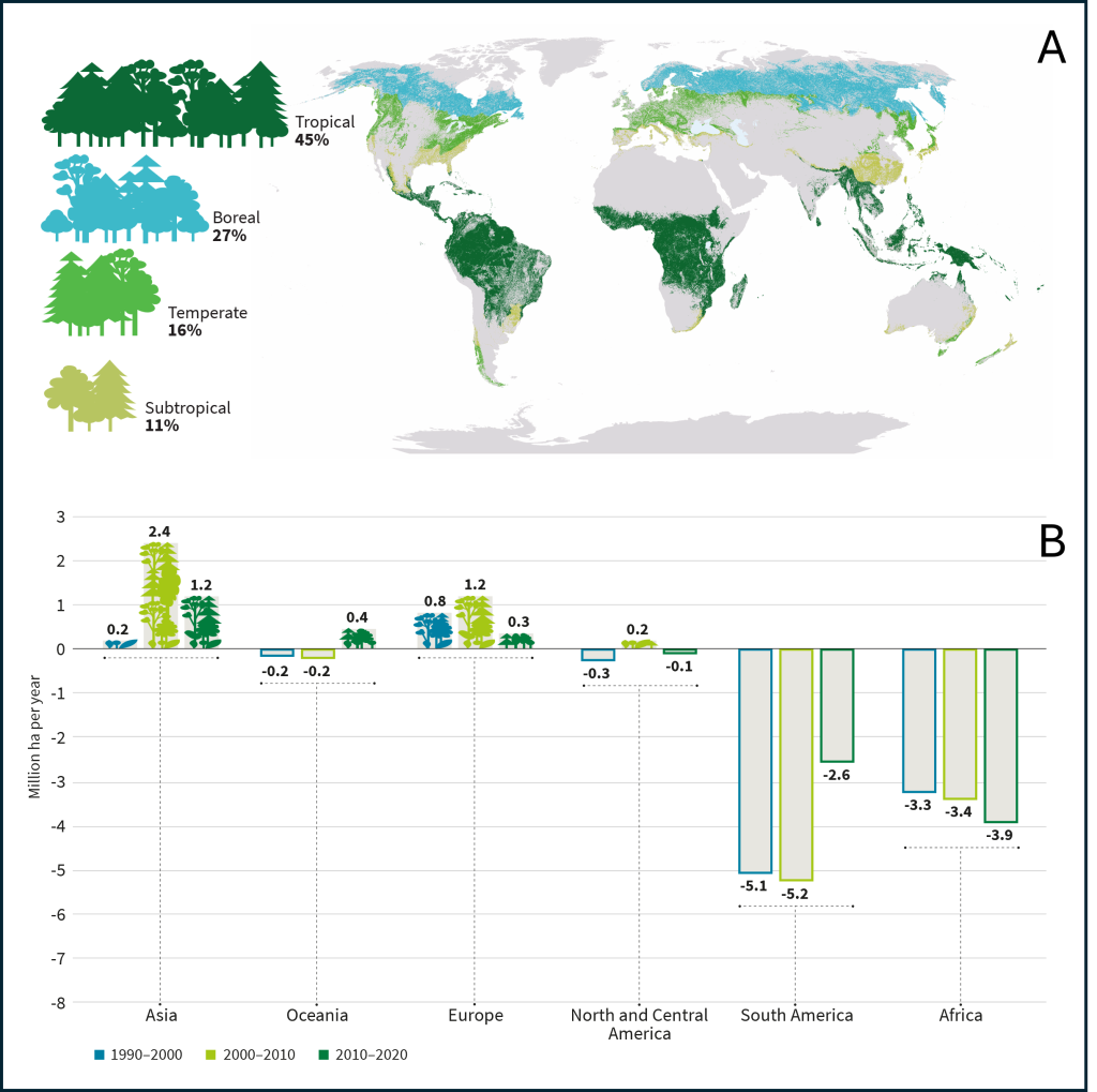 Forests facing global environmental change - Encyclopedia of the ...