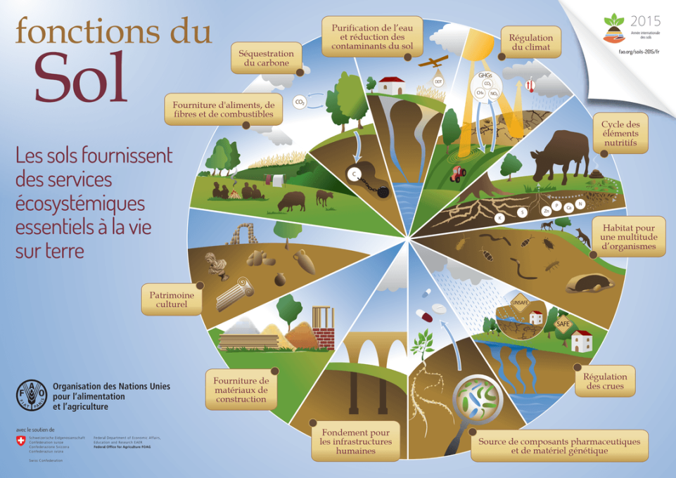 Impact des pratiques agricoles sur la qualité microbiologique des sols ...