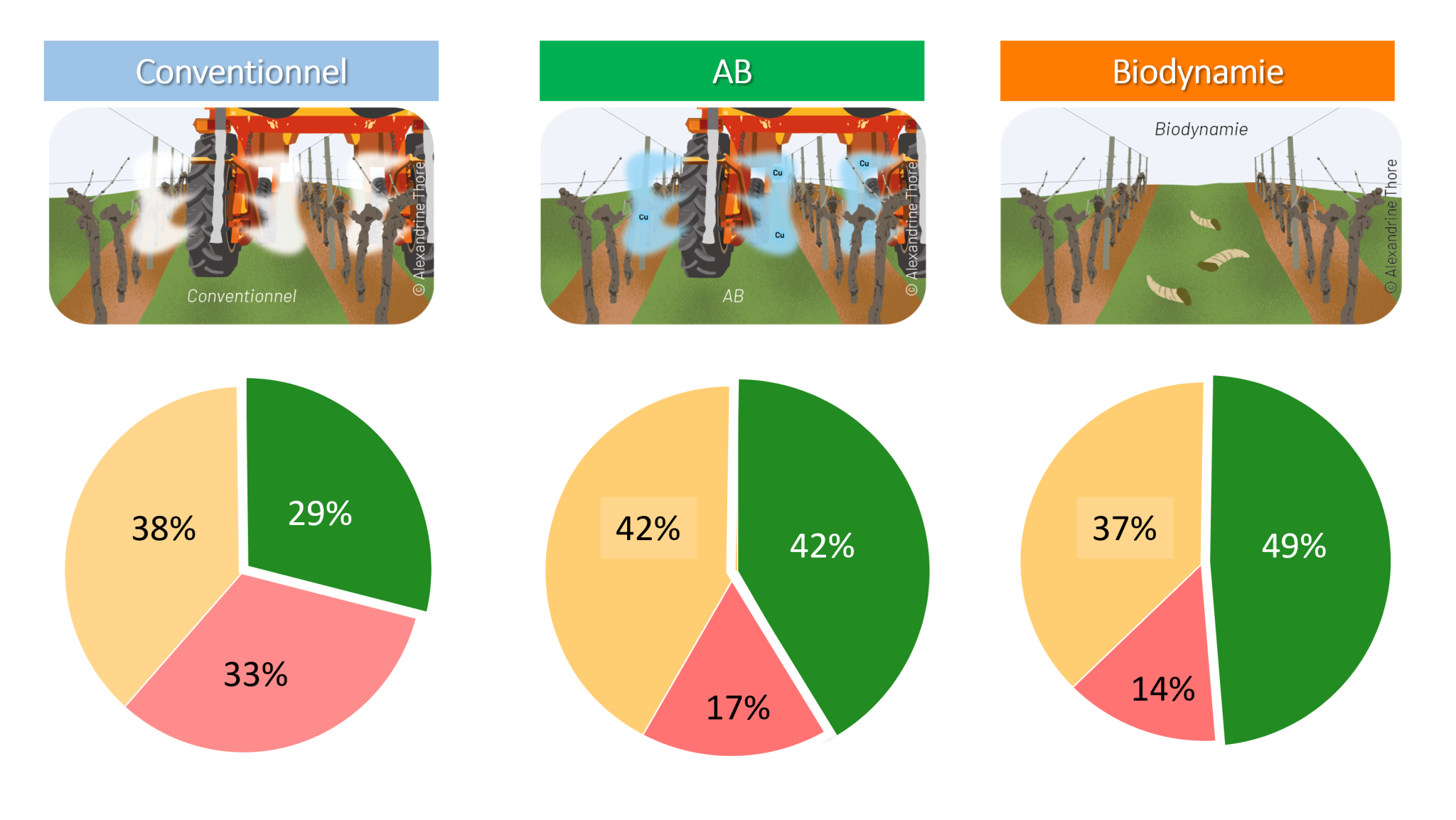 Impact des pratiques agricoles sur la qualité microbiologique des sols ...