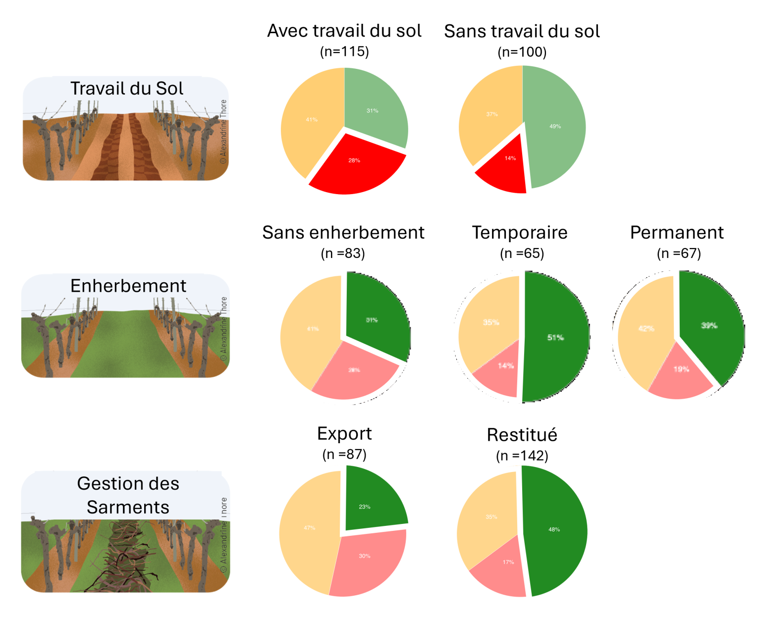 Impact des pratiques agricoles sur la qualité microbiologique des sols ...