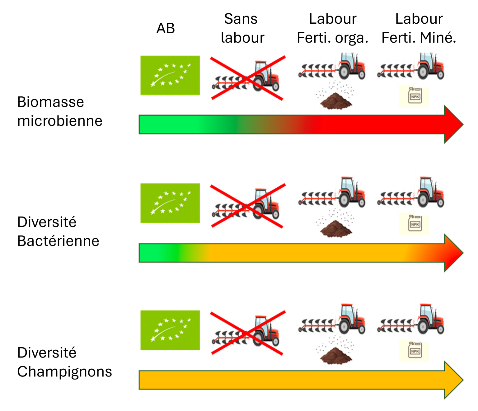 Impact des pratiques agricoles sur la qualité microbiologique des sols ...